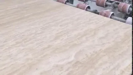 Marbre gris argenté/travertin aiguisé veine remplie/coupe croisée